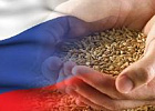 Экспорт российской продукции АПК в I полугодии вырос на 18%